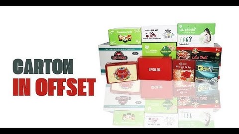 Top 3 công ty in hộp carton chất lượng tại TPHCM năm 2024