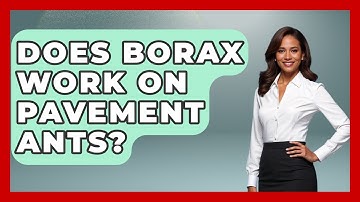 Does Borax Work On Pavement Ants? - Insects and Invaders