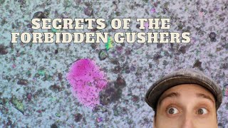 Looking At Water From Inside of Two Geodes Under a Microscope: Secrets of the Forbidden Gushers