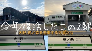 【復活したのは駅と駅周辺だけ】JR常磐線 大野駅・夜ノ森駅 発車シーン