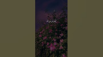 #تلاوات #قرآن #quran #محمد_الغزالي