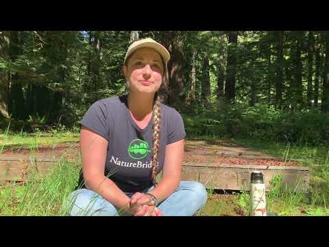 Day in the Life of a NatureBridge Environmental Science Educator