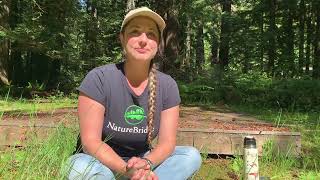 Day in the Life of a NatureBridge Environmental Science Educator