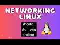 APRENDE SOBRE LOS COMANDOS DE RED EN LINUX