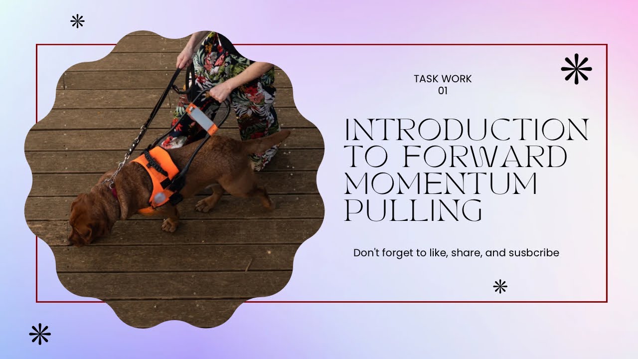 Introduction to Forward Momentum Pulling - Task Work 01 - YouTube