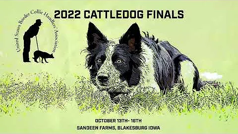 2022 USBCHA Cattledog Finals - Sunday