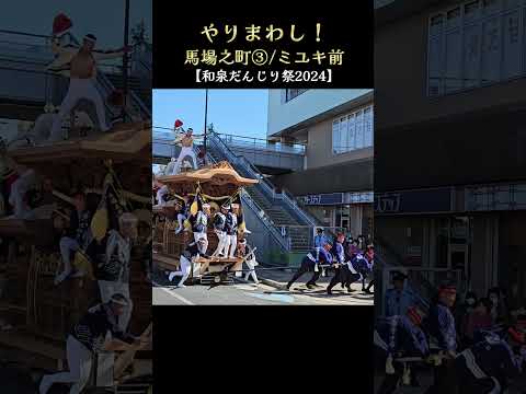 豪快やりまわし❗馬場之町③【和泉だんじり祭り2024】