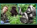 The gorillas meet attenborough ft aardman animations attenborough90  bbc earth unplugged