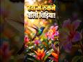 Hawa Mein Rukne Wali Chidiya Hummingbird Facts 🐦| #Hummingbird #BirdFacts #Wildlife #Nature