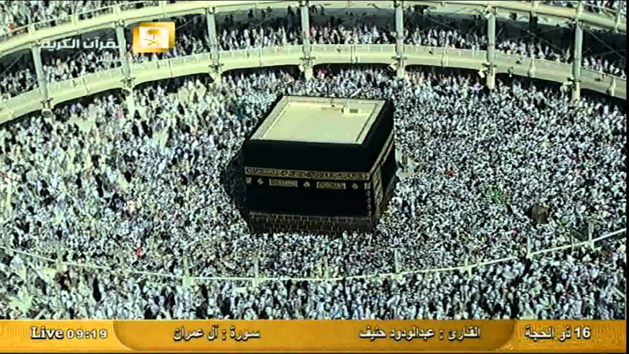 ما تيسر من سورة آل عمران -  عبد الودود حنيف Al-Haramien HD