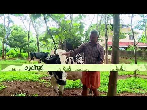 കുറഞ്ഞ സ്ഥലത്ത് ഒരുപാട് കൃഷി! സ്വന്തം പരീക്ഷണങ്ങളിലൂടെ വിജയം കൊയ്ത് ഒരു വയനാടൻ കർഷകൻ | Krishibhoomi