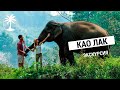 Экскурсия Као Лак | Обзор экскурсии с Tropic Tours