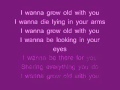 Dj Cammy - I Wanna Grow Old With You Lyrics.flv
