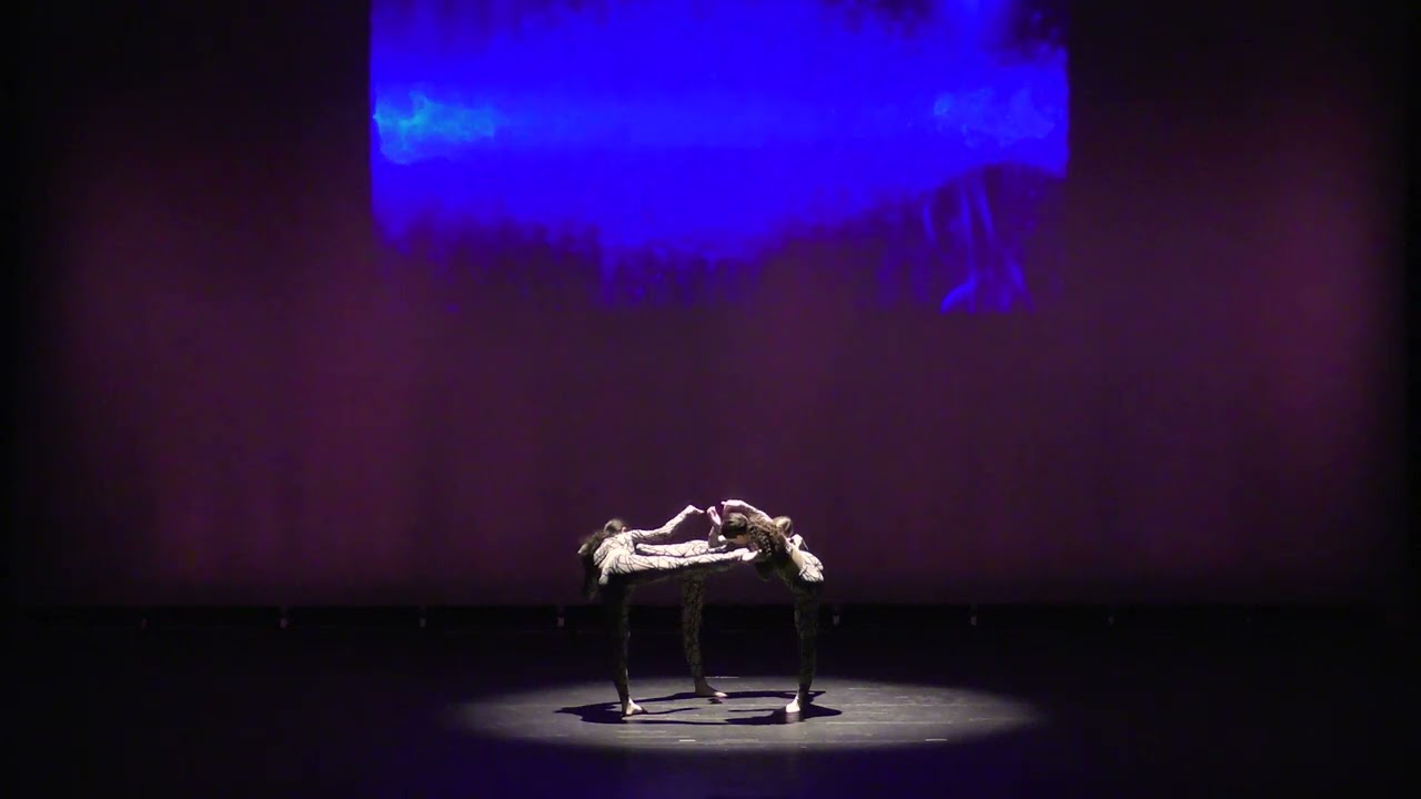 11. Plexus (45 Anniversary)