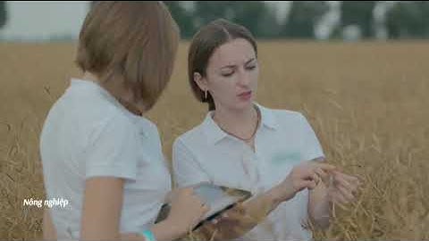 Ứng dụng  của Công nghệ Blockchain trong lĩnh vực y tế || Team 2 from 21IT6 [VKU] (1/2022)