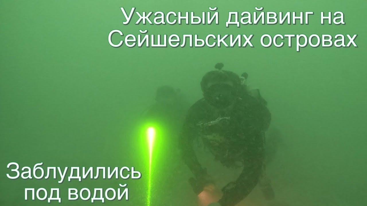 Заблудился на острове. Женщина заблудилась. Лесник женщина в лесу. Заблудился на острове. Заблудился на острове.