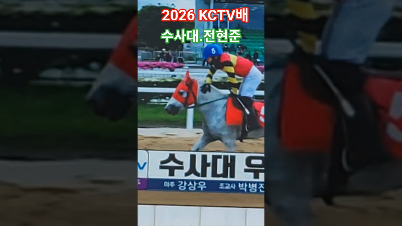 수사대 잘뛰네~#말 #경마 #달려라말 #shorts #대상경주