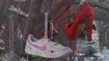 Shoe Tree - University of Minnesota West Bank