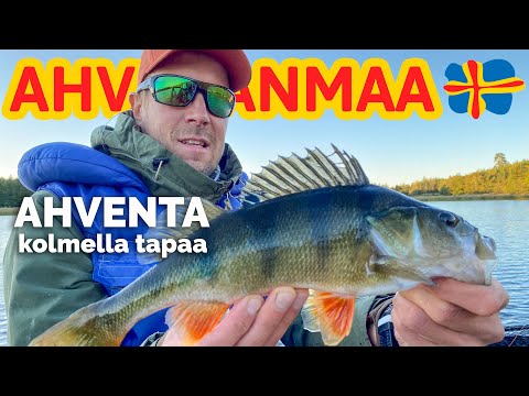 Video: Mikä On Ahvenen Paras Syötti