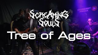 Amorphis - Tree of Ages (Screaming Souls Cover)