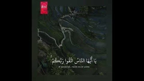 تلاوة خاشعة وآيات مباركة من سورة النساء📚|القارئ أحمد النفيس|حالات واتس اب إسلامية💞