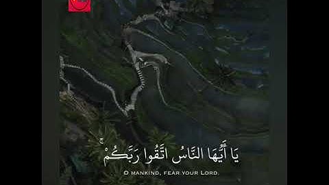 تلاوة خاشعة وآيات مباركة من سورة النساء📚|القارئ أحمد النفيس|حالات واتس اب إسلامية💞