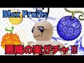 【ロブロックス(roblox)】ロブロックス版ワンピース 悪魔の実ガチャ‼︎今回運が良すぎたわw(blox fruits)