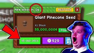 I Bought a GIANT PINECONE SEED 1 SECOND Before It Disappeared...