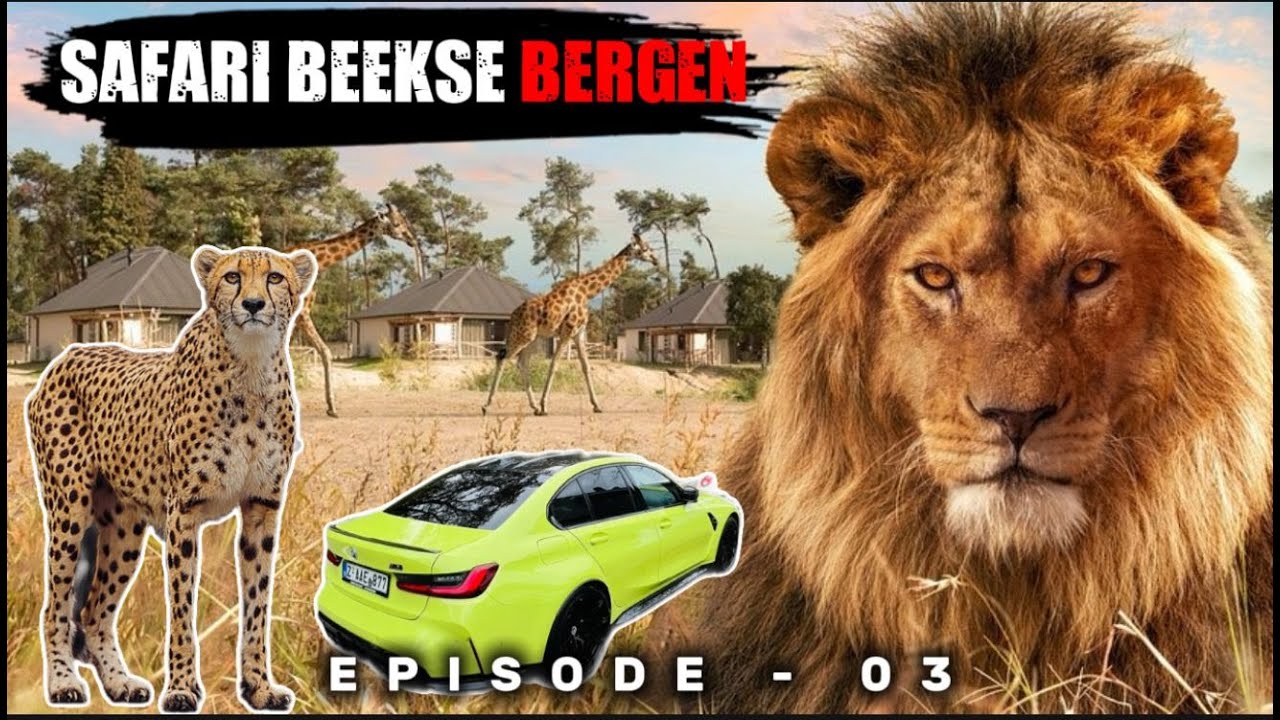 Beekse Bergen Safari in BMW M3 🎥 | Netherlands Travel Vlog in Tamil | Episode 3