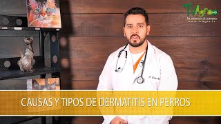 Causas y Tipos de Dermatitis en Perros TvAgro por Juan Gonzalo Angel Restrepo