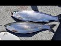 Spring Time Kokanee Fishing - Catch and Cook