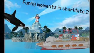 funny moments in sharkbite 2