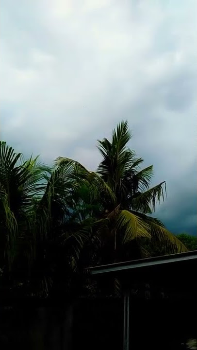 awan mulai terlihat gelap menyeluruh..apa kah akan hujan. #shorts #storywa #hujan #mendungtanpoudan
