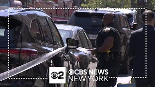 Famous 71-year-old woman killed in Bronx shooting Profile