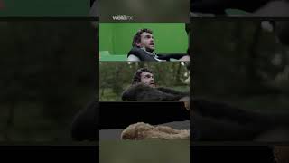 Bear Hug | Cocaine Bear | Wētā FX #vfx #vfxshorts