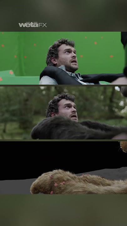 Bear Hug | Cocaine Bear | Wētā FX #vfx #vfxshorts