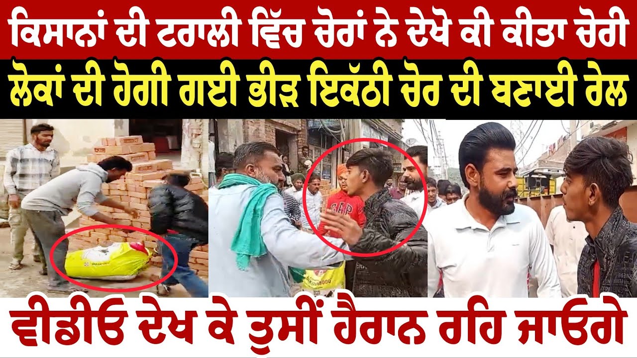 ਕਿਸਾਨ ਦੀ ਟਰਾਲੀ ਚੋਂ ਚੋਰਾਂ ਨੇ ਦੇਖੋ ਕੀ ਕਰ ਲਿਆ ਚੋਰੀ ਜਿਸ ਨੂੰ ਦੇਖ ਕੇ ਤੁਸੀਂ ਹੈਰਾਨ ਰਹਿ ਜਾਓਗੇ ਲੋਕਾਂ ਦੀ ਹੋਗੀ 