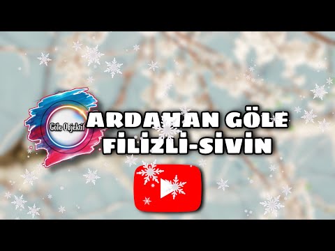 Göle Filizli / Sivin Köyü Kış