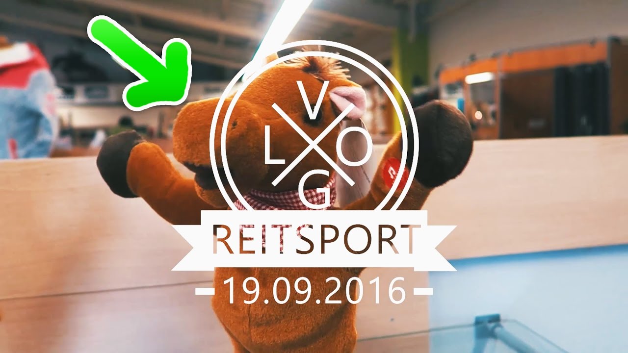 ▶ALLES FÜR DEN REITSPORT ✘ RealPaim◀