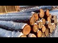 Заморочки СТРОПАЛЬЩИКА - Работа стропальщика на пилораме - ложим круглый лес на распиловку