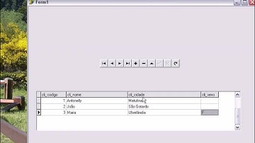 Delphi com SQLServer 2005 part