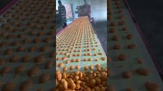 Top quality gur drop making machine Asansol 8918766113,7872526552