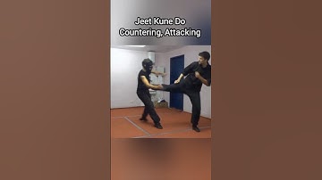 ORIGINAL JEET KUNE DO COUNTERING AND ATTACKING #brucelee #martialarts #jkd #kicking #punching