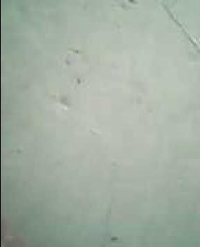 Download lagu RINGTONES INSYAALLAH