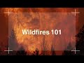 Understanding Wildfires and Their Impact