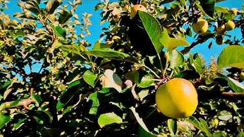 فَقُلْتُ اسْتَغْفِرُوا رَبَّكُمْ إِنَّهُ كَانَ غَفَّارًا....القران راحه القلب تلاوه خاشعه