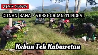 CIINAN BANA- REMIK-VERSI ORGAN TUNGGAL