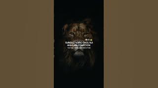 NEW OMKAR 72  RANGILO MARO DHOL NA VS NEW  COMPIATION HORN / HIGH GAIN #compititionhorn #viral #like