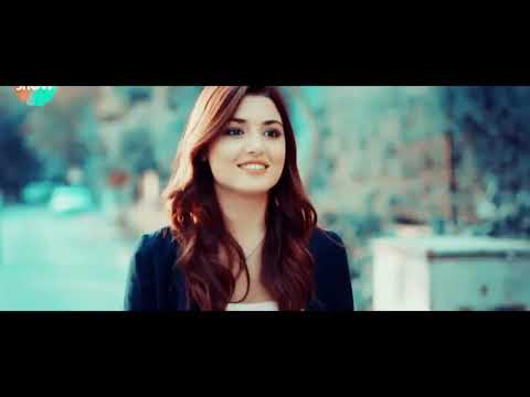 اغنيه الحب زي الوتر