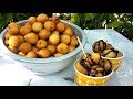 PANCAKE BALLS | STREET FOOD BUSINESS IDEAS